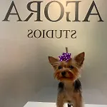 Πανσιόν Agora Φιλιππούπολη