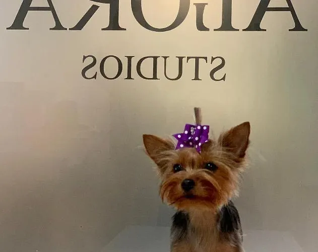 Maison d'hôtes Agora Plovdiv